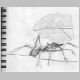 ant&leaf_2.jpg